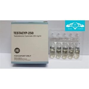 B.M. Pharma Testacyp - 250 (Test. Cypionate 250mg / ml