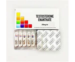 Testosterone enanthate 250mg/ml